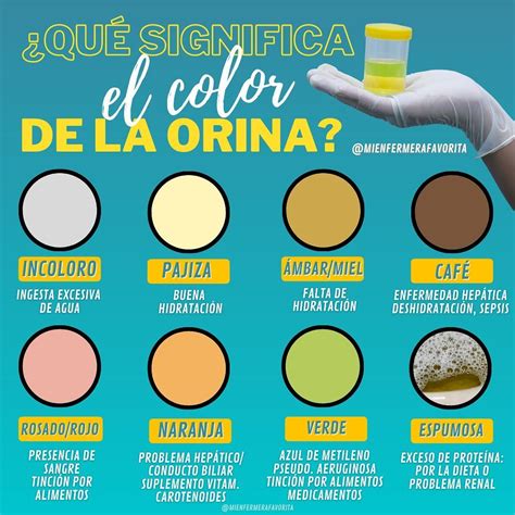 Qu Significa El Color De La Orina Mienfermerafavorita Color De La