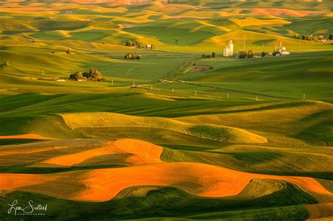 Steptoe Butte View Steptoe Butte State Park Colfax Washington