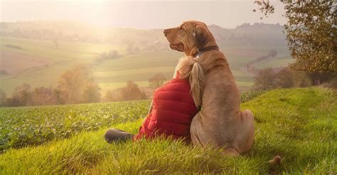 Le Chien Est Le Meilleur Ami De LHomme Depuis Au Moins 30 000 Ans