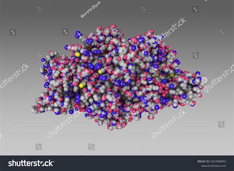 Complex Catalytic Portion Human Hmgcoa Reductase Stock Illustration