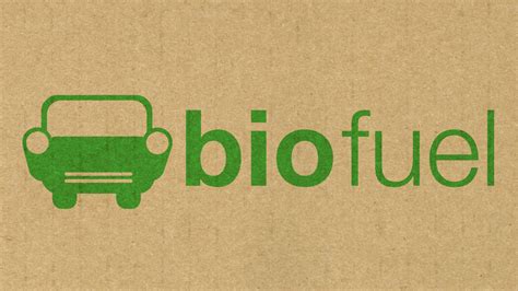 World Biofuel Day 2021 Know Date Theme History And Significance Of