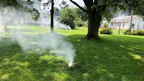 Sewer Smoke Testing Archives Chicago Plumbing Experts