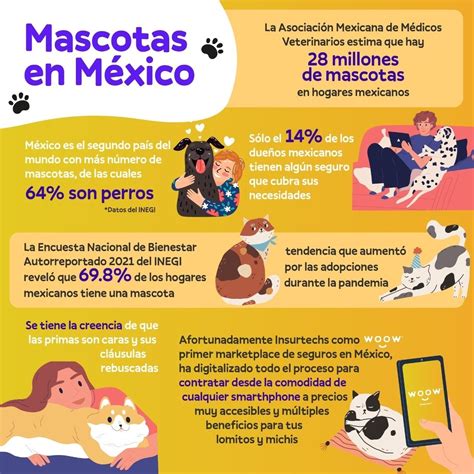 Tips A Considerar Antes De Contratar Un Seguro De Mascotas Proceso