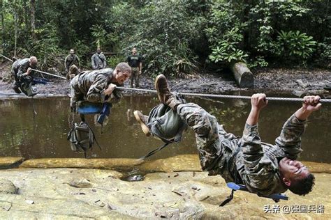 真「引狼入室」，美軍士兵凌晨在基地外逗土狼，致4名士兵被咬傷 每日頭條