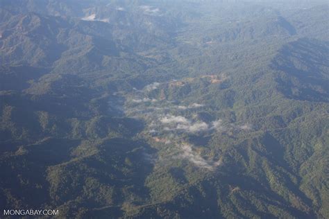 Forested mountains of Borneo (logging roads)