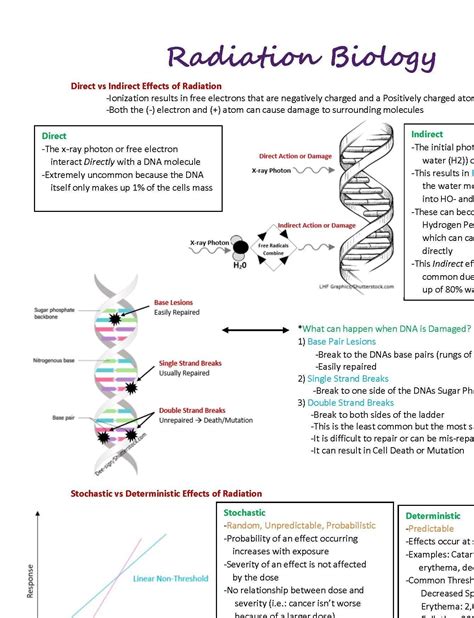 This Listing Is Just For Section 18 Radiation Biology It Contains Information On Direct Vs