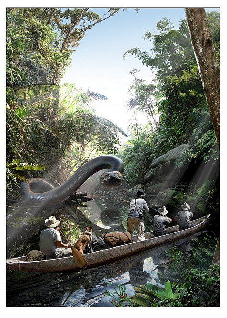 Bildergebnis für titanoboa | Giant anaconda, Anaconda snake, Largest snake
