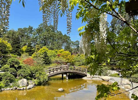 Hakone Gardens - Silicon Valley Attractions