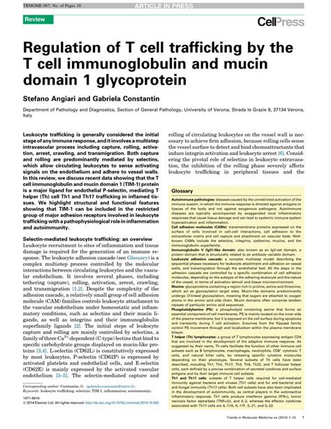 PDF Regulation Of T Cell Trafficking By The T Cell Immunoglobulin And