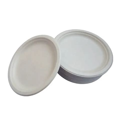 Inch Sugarcane Plates Restaurant Disposable Biodegradable Plates