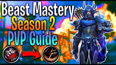 The BEST Beast Mastery Hunter PVP Build Dragonflight 10 1 YouTube