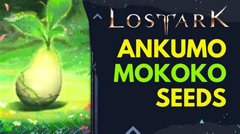 Lost Ark Ankumo Mountain Mokoko Seeds Youtube