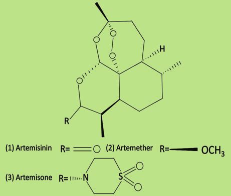 The Molecular Structure Of Artemisinin And Its Semisynthetic