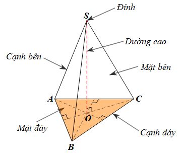 Hình Chóp Tứ Giác Đều Khám Phá Định Nghĩa Tính Chất Và Ứng Dụng