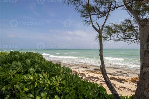 View over tropical plants at the beach 26310997 Stock Photo at Vecteezy