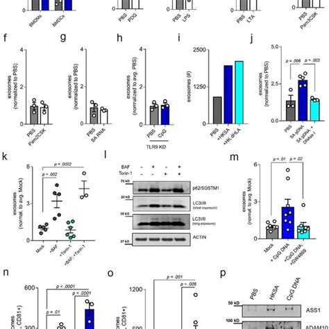 Exosome-isolation and quantification strategies a, Exosome-isolation... | Download Scientific ...