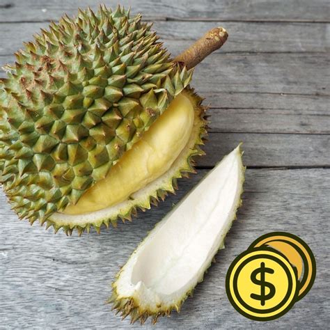 Why Is Durian So Expensive Big Reasons Foodiosity