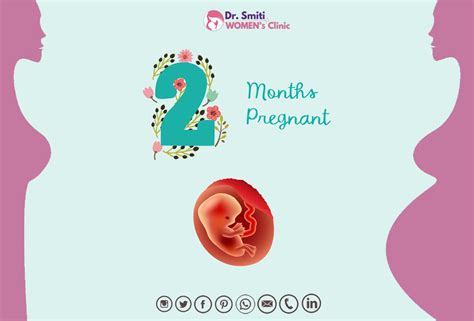 Months Pregnant Symptoms And Fetal Development Pampers 41 Off