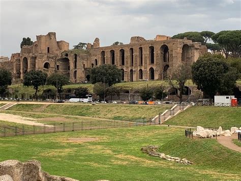 Circus Maximus Rom Bewertungen Und Fotos