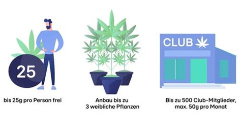 Cannabis Legalisierung Was Sie Jetzt F R Den Stra Enverkehr Wissen