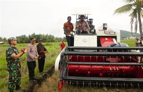 Wabup Akbar Serahkan Bantuan Alsintan Dan Bantuan Benih Padi Luwuraya