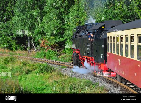 Deutschland Sachsen Anhalt Ostharz Dampfzug Nostalgisch Harzer