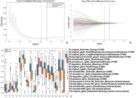 Radiomic Feature Selection Using The Least Absolute Shrinkage And Download Scientific Diagram