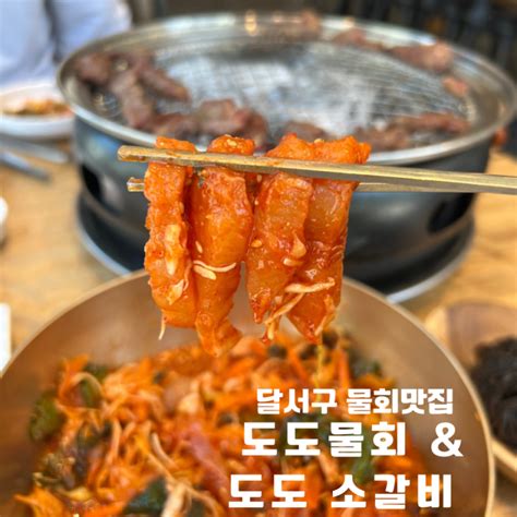 24시간 직접 우려낸 육수로 만든 찐 물회 맛집 달서구 물회 맛집 도도 물회and도도 소갈비 후기 네이버 블로그