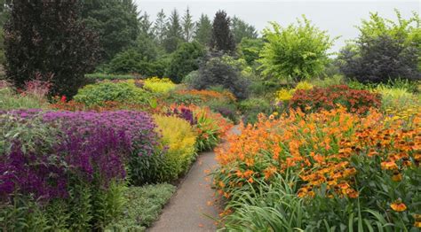 How To Create A Stunning Herbaceous Border | Horticulture