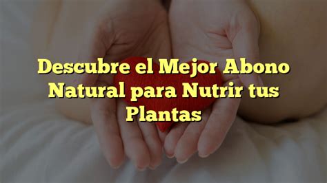 Descubre El Mejor Abono Natural Para Nutrir Tus Plantas Con Estilo De