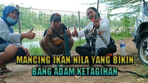 Mancing Ikan Nila Yang Bikin Bang Adam Ketagihan YouTube