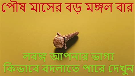 পৌষ মাসের বড় মঙ্গল বার । লবঙ্গ আপনার ভাগ্য কিভাবে বদলাতে পারে দেখুন