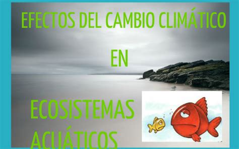 Efectos Del Cambio Clim Tico Sobre Ecosistemas Marinos By Maria Granado