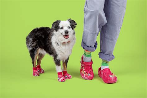 Crocs lanza una línea de sus zapatillas para perros