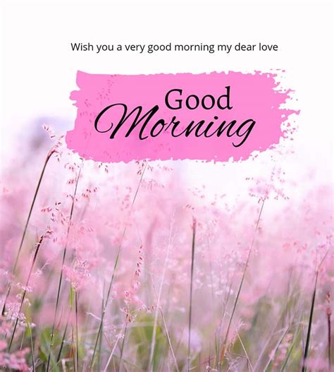 175 Best Good Morning Wishes Messages And Quotes 2023 2024