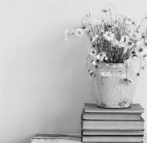 Новые книги по предсказательной астрологии: как трактовать соляр ...