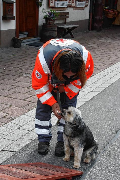 Leserbilder Bilder vom Frühlingserwachen mit Lebküchlermarkt in