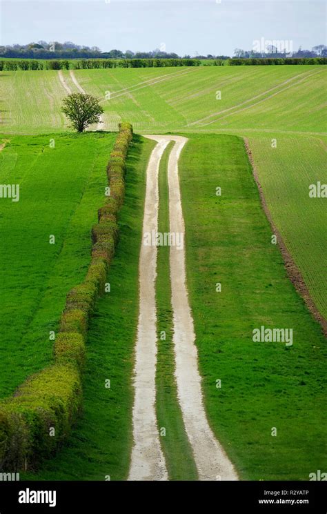 Chalk Farm Track Near Slip End Hertfordshire Stock Photo Alamy