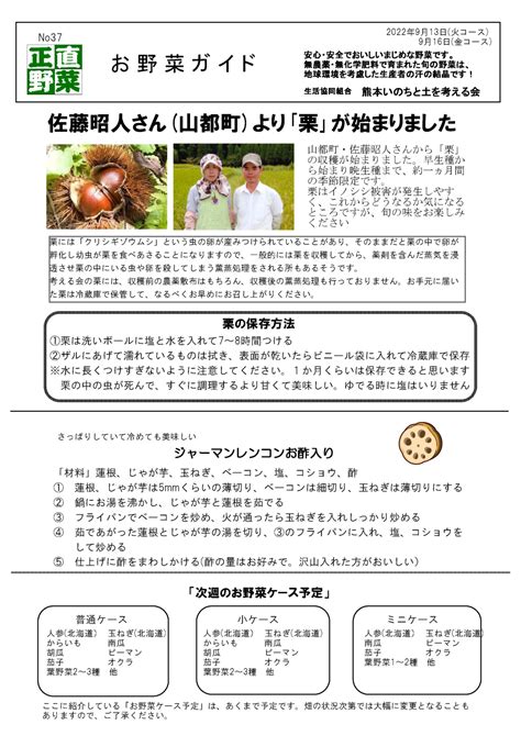 今週の野菜ケース 9月13・16日 熊本いのちと土を考える会