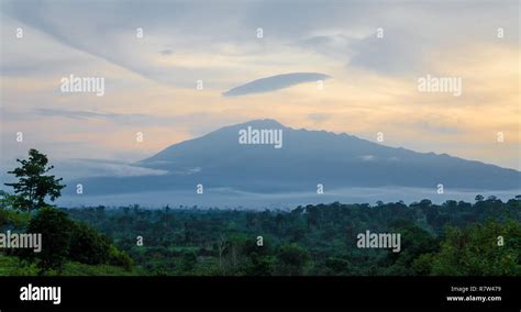 Vue Panoramique Du Mont Cameroun Avec Montagne Forêt Verte Pendant Le