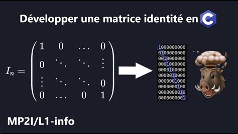 D Velopper Une Matrice Identit En Langage C Mp I L Info Youtube