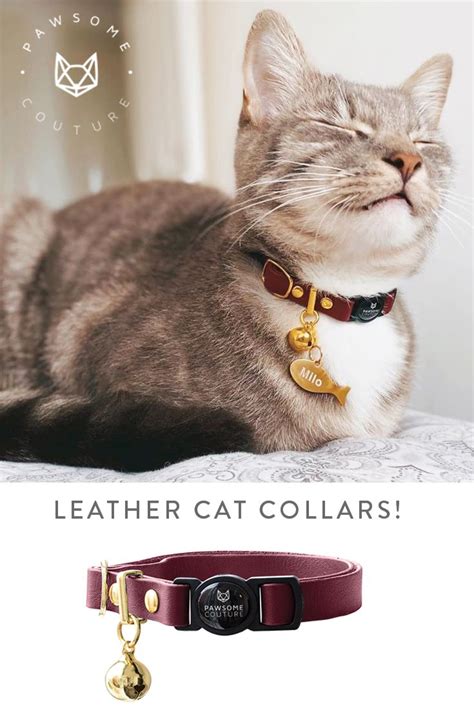 Leather cat collars – Artofit