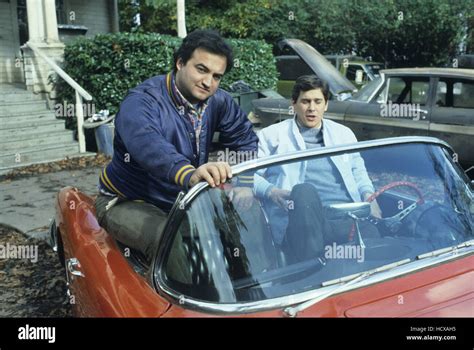 NATIONAL LAMPOON'S ANIMAL HOUSE, John Belushi, Tim Matheson, 1978. © Universal Pictures ...