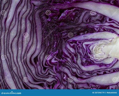 A Slice Of Red Cabbage In Close Up Stock Image Image Of Diet