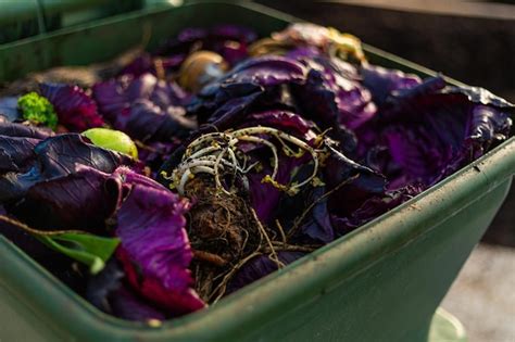 Premium Photo Closeup Of Wasted Food In A Compost Bin Rotting With