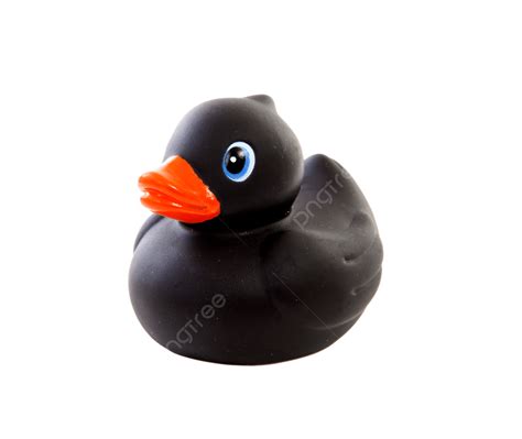 Objeto Pato De Goma Negro Png Dibujos Pájaro Nadar Juguete Png