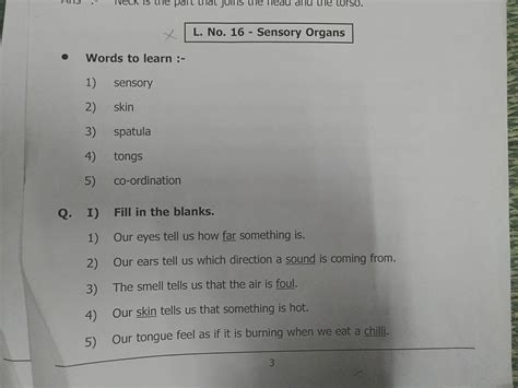 Evs Sense Organs Interactive Worksheet Hot Sex Picture