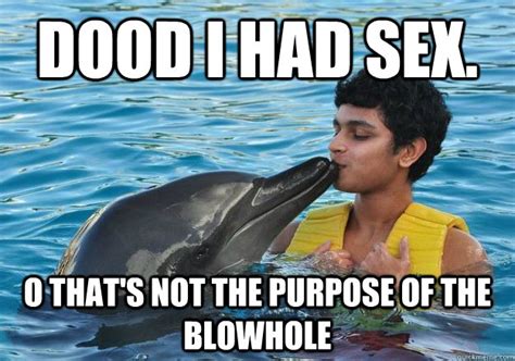 You Know How They Say Dolphin Vaginas Are The Closest You Can Have To Having Sex With A Human