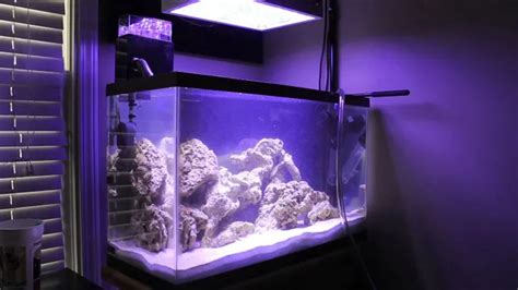 How To Do Water Changes With Large Aquariums The Ultimate Guide For