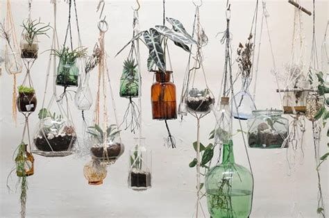 Bottled Gardens By Earthropepotplant Jardineras Colgantes